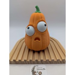 Citrouille Saucissette aux Yeux Mobiles | mavanya.ch
