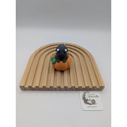 Clicker Anti-Stress "Corvus" le Corbeau