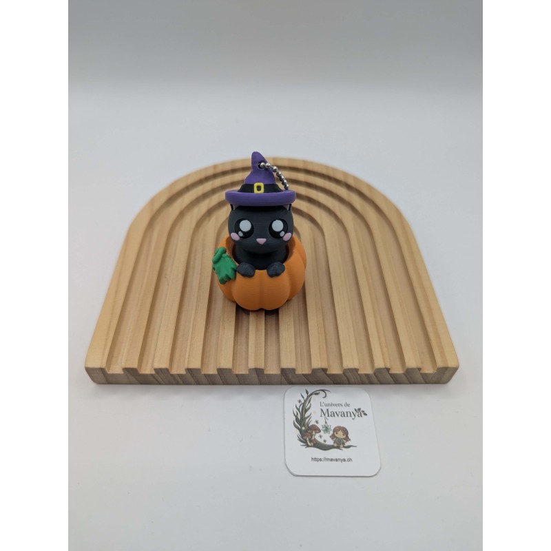 Clicker Anti-Stress "Shadow" le Chat Sorcier