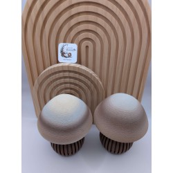 Moyen Champignon Dégradé - Déco 3D Unique | https://mavanya.ch