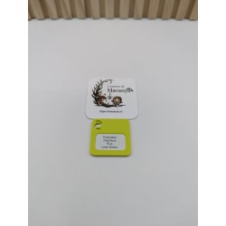 Poule Design Strata | Collection Pâques | L'univers de Mavanya