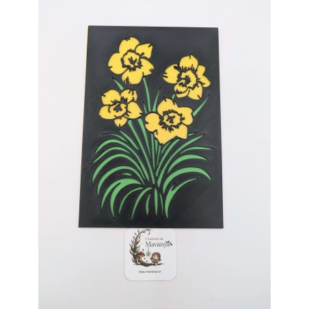 Quatuor de Narcisses – Édition Couleur