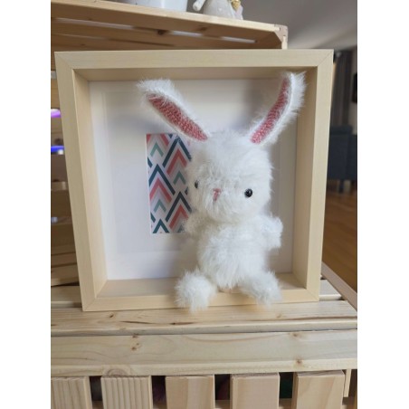 Lapy Furry Furry et son cadre