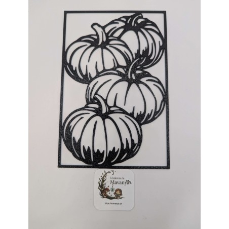 Récolte de Citrouilles