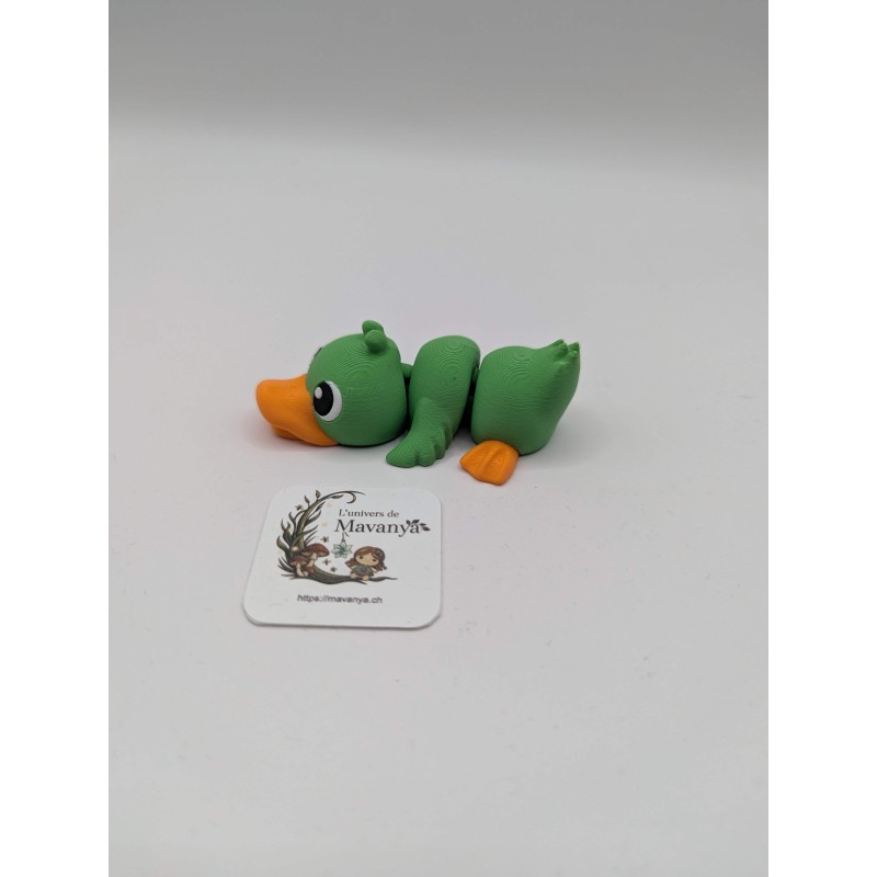 Canard Curieux Magnétique – "Barnabé"