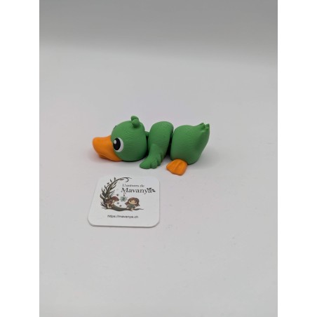 Canard Curieux Magnétique – "Barnabé"