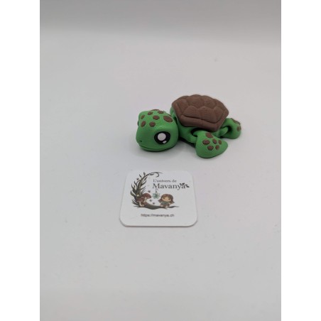 Tortue – "Tito"
