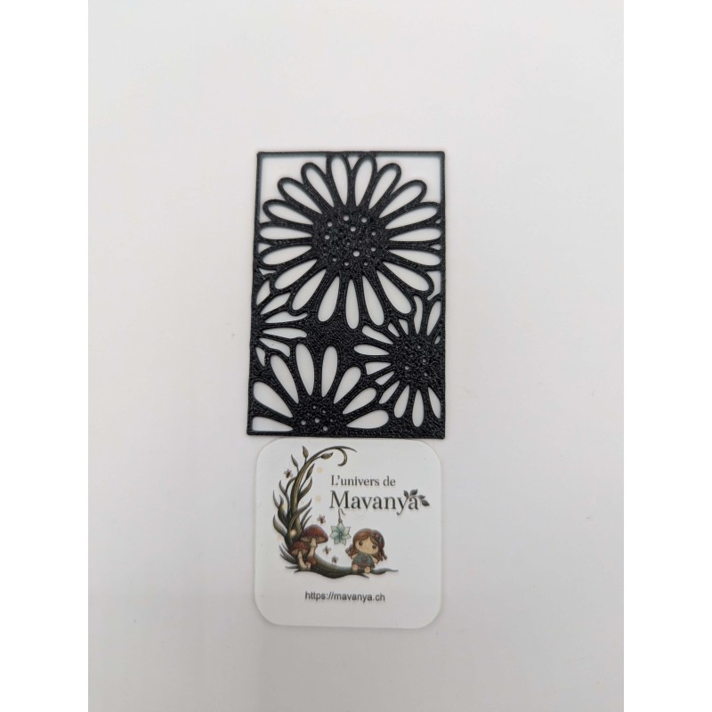 Douceur de Marguerite "Tiny"