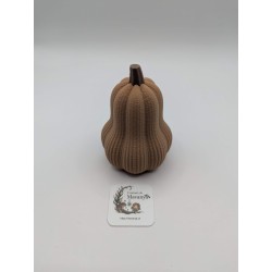 Mini Courge Butternut