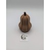 Mini Courge Butternut