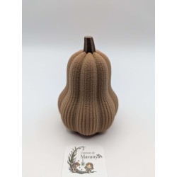 Mini Courge Butternut | mavanya.ch