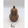 Mini Courge Butternut | mavanya.ch