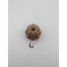 Mini Courge Butternut | mavanya.ch