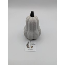 Mini Courge Butternut | mavanya.ch