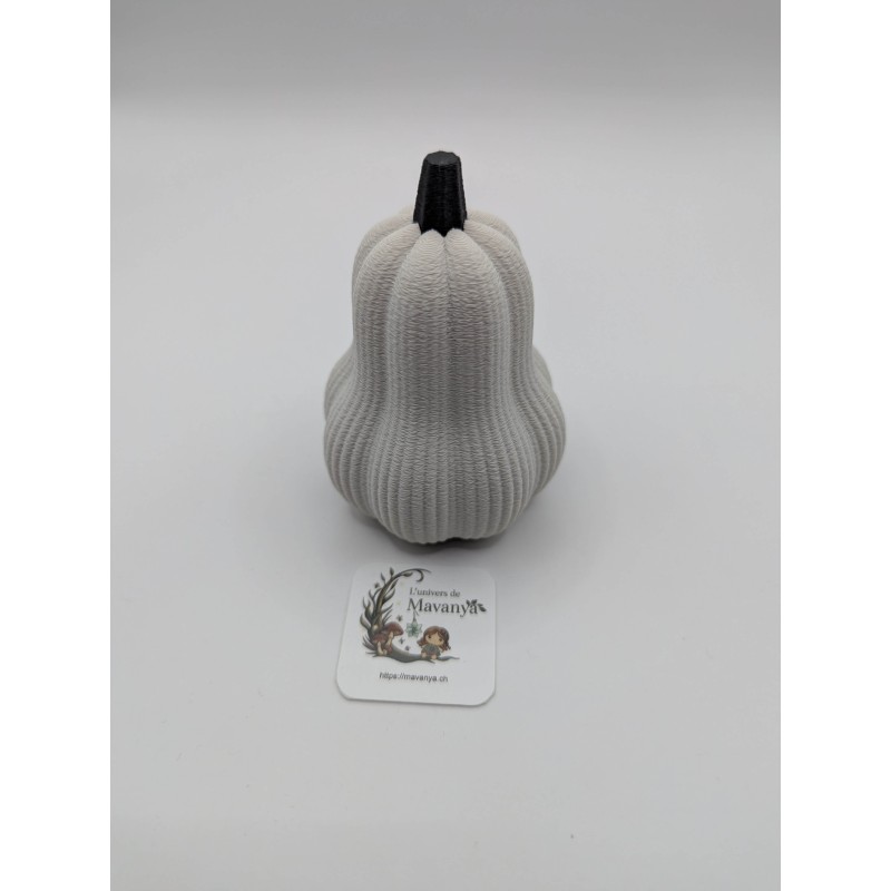Mini Courge Butternut | mavanya.ch