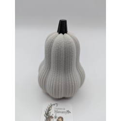 Mini Courge Butternut | mavanya.ch