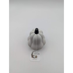 Mini Courge Butternut | mavanya.ch