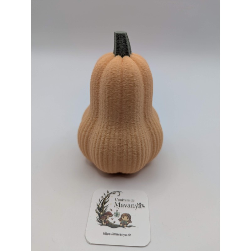 Mini Courge Butternut | mavanya.ch