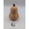Mini Courge Butternut | mavanya.ch