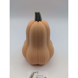 Mini Courge Butternut | mavanya.ch