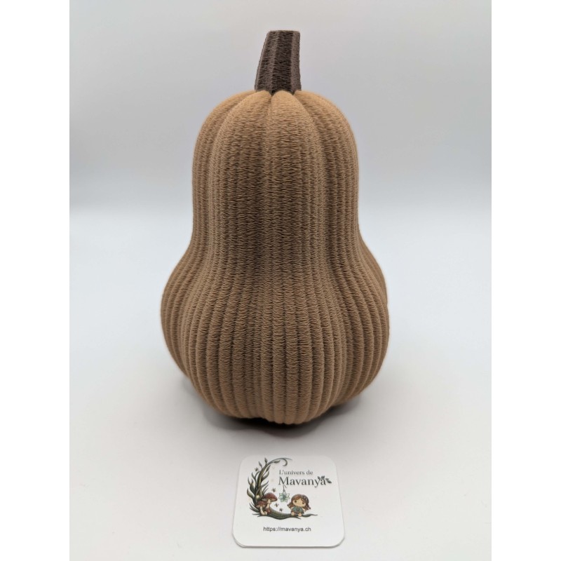Grande Courge Butternut | mavanya.ch
