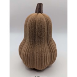 Grande Courge Butternut | mavanya.ch