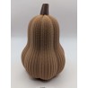 Grande Courge Butternut | mavanya.ch
