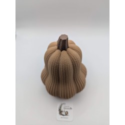 Grande Courge Butternut | mavanya.ch