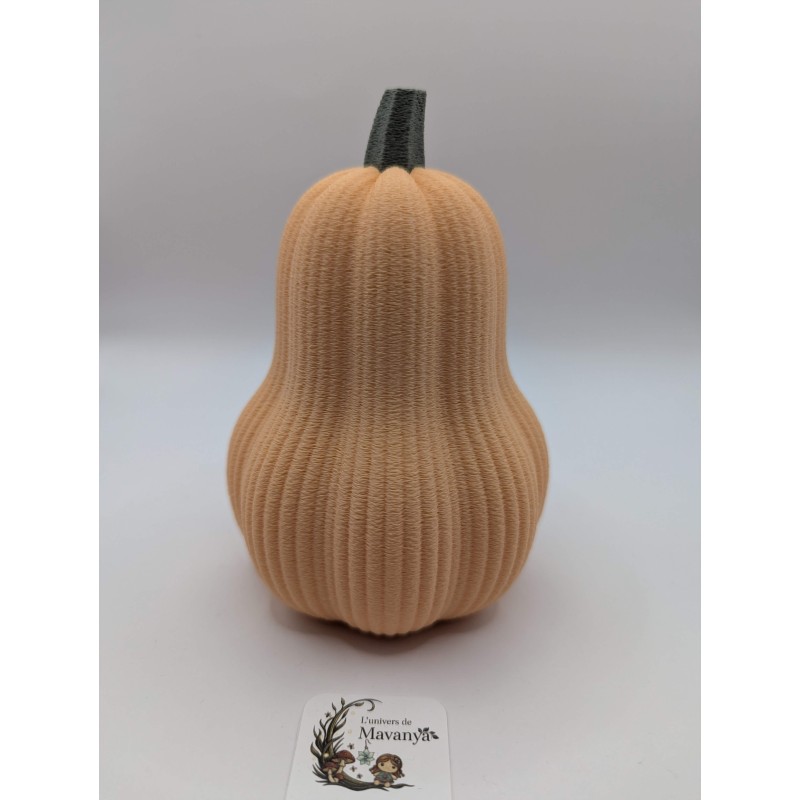 Grande Courge Butternut | mavanya.ch