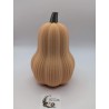 Grande Courge Butternut | mavanya.ch