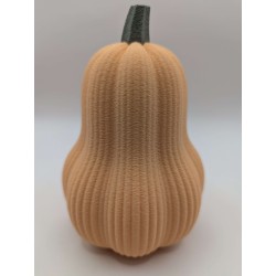 Grande Courge Butternut | mavanya.ch