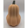 Grande Courge Butternut | mavanya.ch