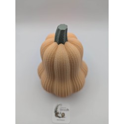 Grande Courge Butternut | mavanya.ch