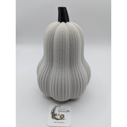 Grande Courge Butternut | mavanya.ch