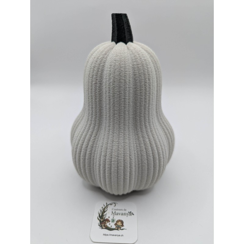 Grande Courge Butternut | mavanya.ch