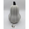 Grande Courge Butternut | mavanya.ch