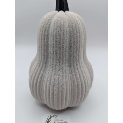 Grande Courge Butternut | mavanya.ch