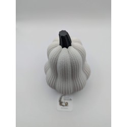 Grande Courge Butternut | mavanya.ch