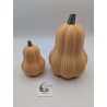 Grande Courge Butternut | mavanya.ch