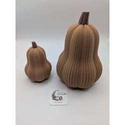 Grande Courge Butternut | mavanya.ch