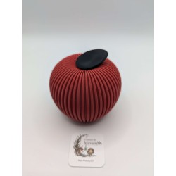 Pomme Texturée avec Feuille