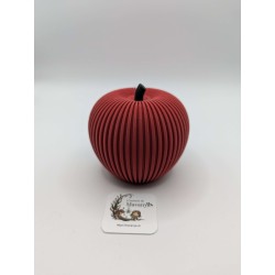 Pomme Texturée avec Tige