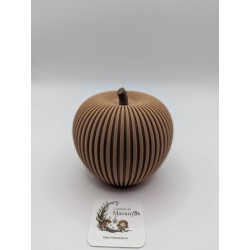 Pomme Texturée avec Tige | mavanya.ch